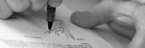 Términos de Uso Autorizaciones